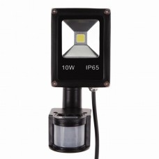 10W 12VDC LED outdoor Flood light with Motion sensor